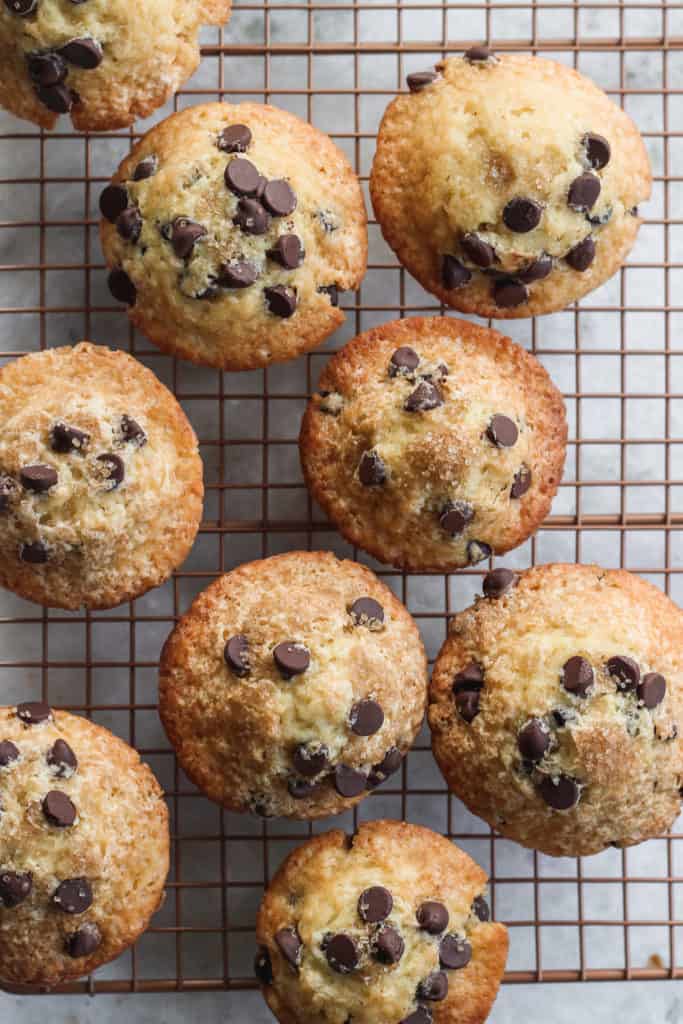 dairy free muffins with chocolate chips on wire cooling rack
