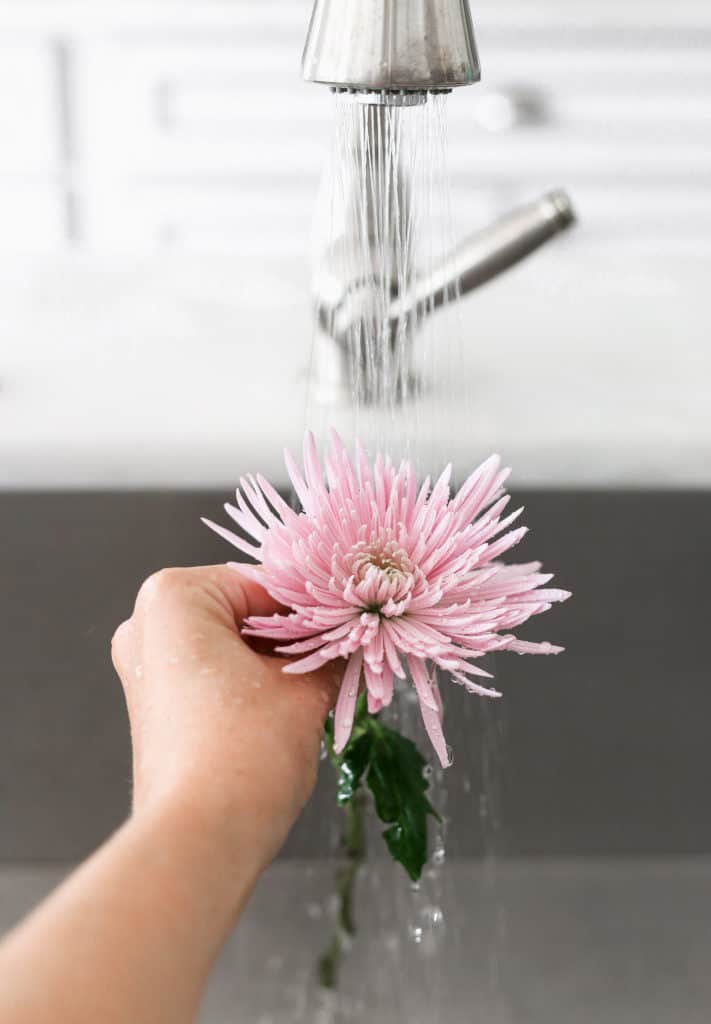 Washing a purple flower in the sink, before demonstrating how to decorate a cake with flowers.