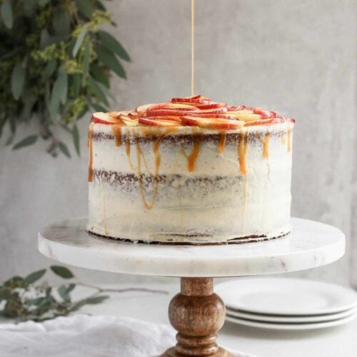 https://frostingandfettuccine.com/wp-content/uploads/2018/10/Apple-Cider-Cake-3-500x500.jpg