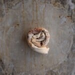 phyllo dough rolled to look like a cinnamon bun