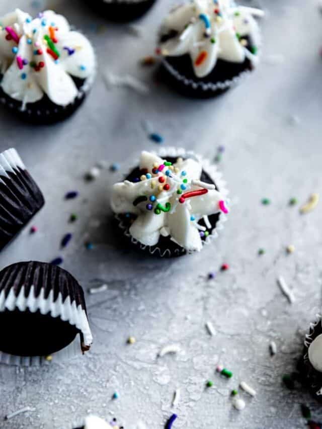 Easy Mini Chocolate Cupcakes Frosting & Fettuccine