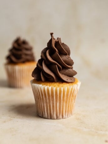 A vanilla cupcake piped with chocolate frosting.