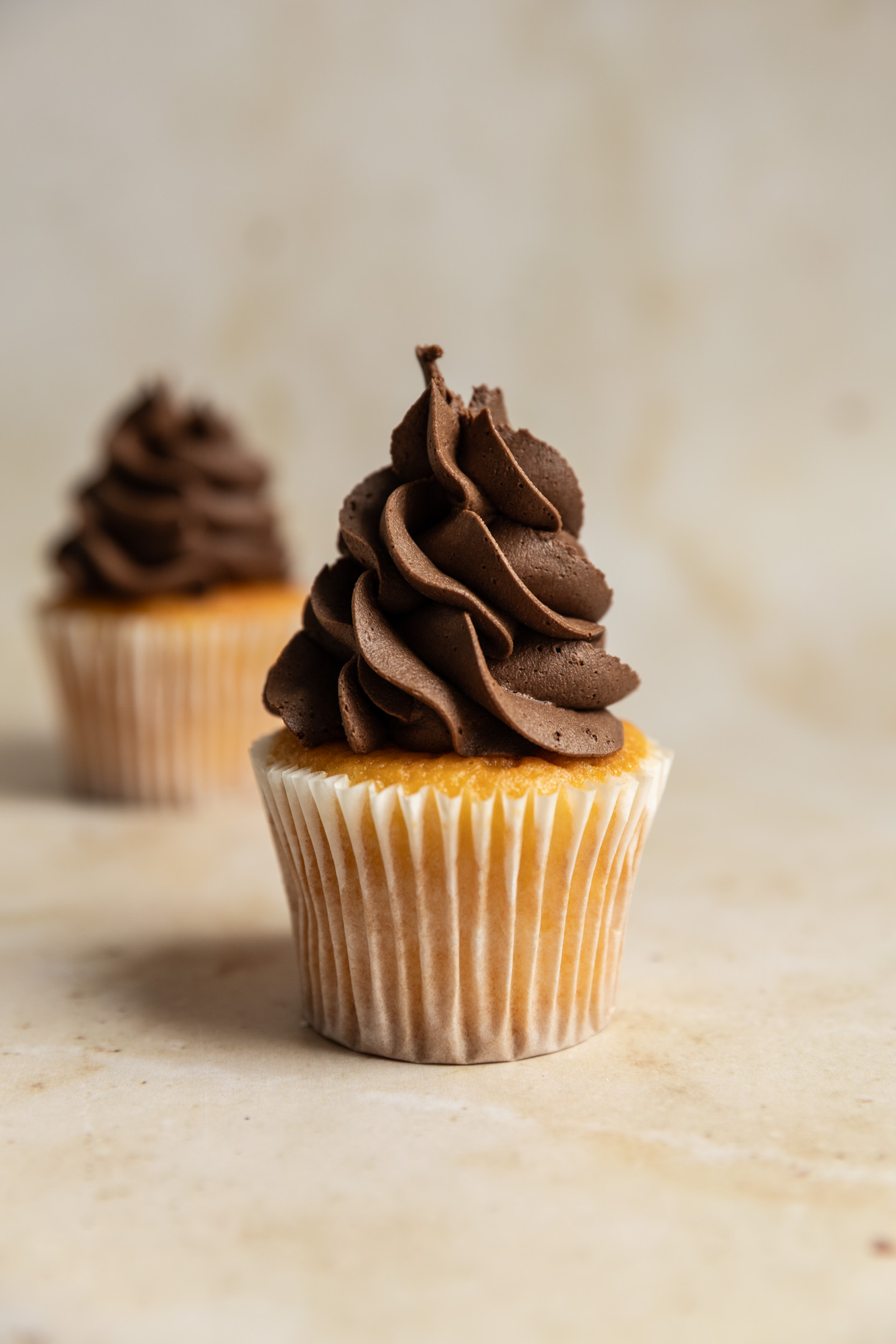 A vanilla cupcake piped with chocolate frosting.