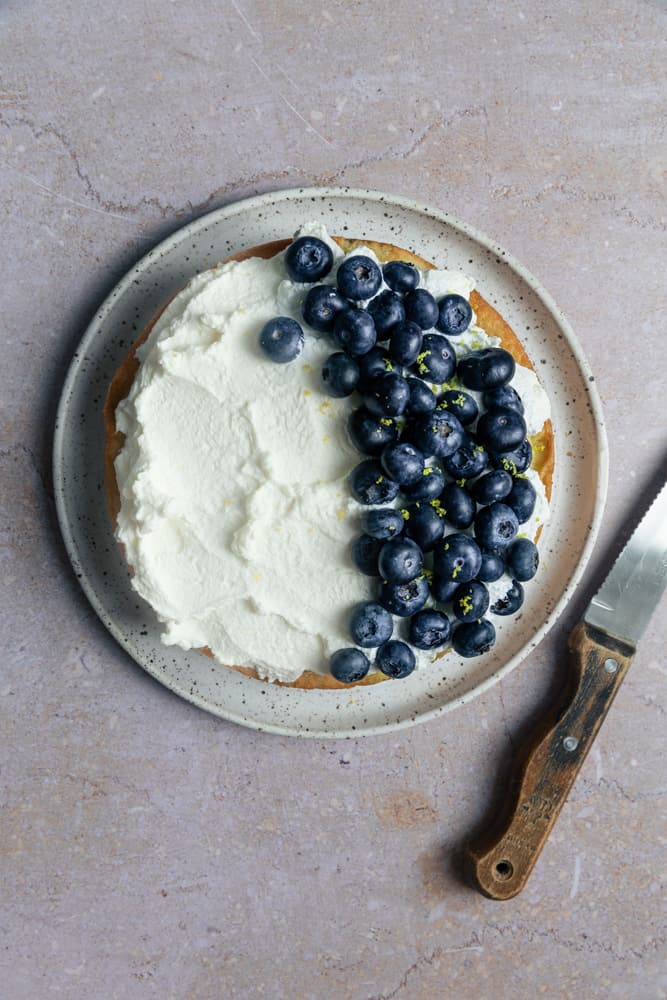 A one layer cake with whipped cream and blueberries on top.