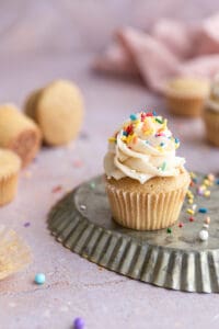 A cupcake frosted with dairy free frosting and sprinkles.