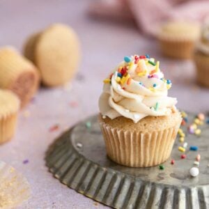 A cupcake frosted with dairy free frosting and sprinkles.