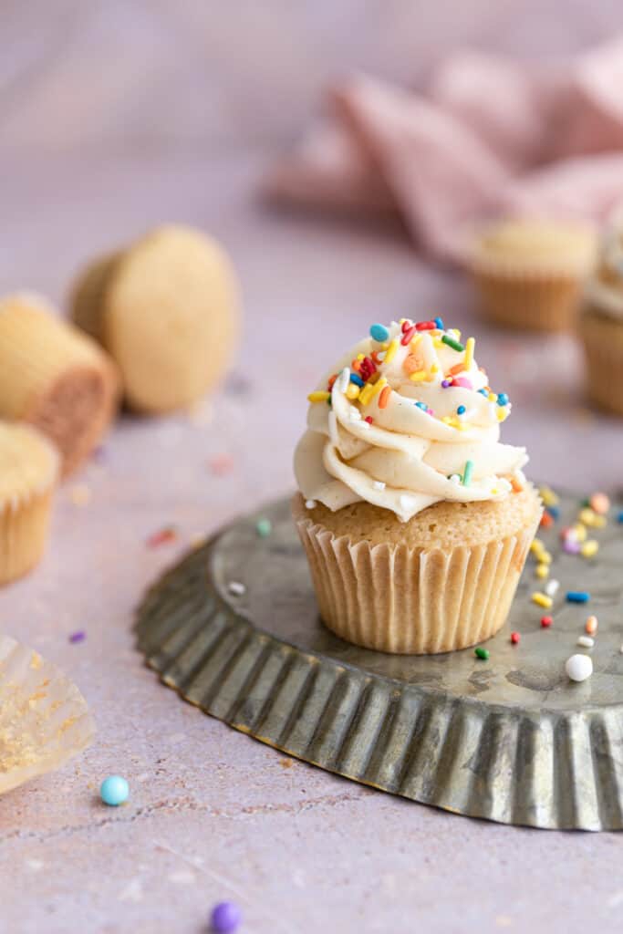 A cupcake frosted with dairy free frosting and sprinkles. 