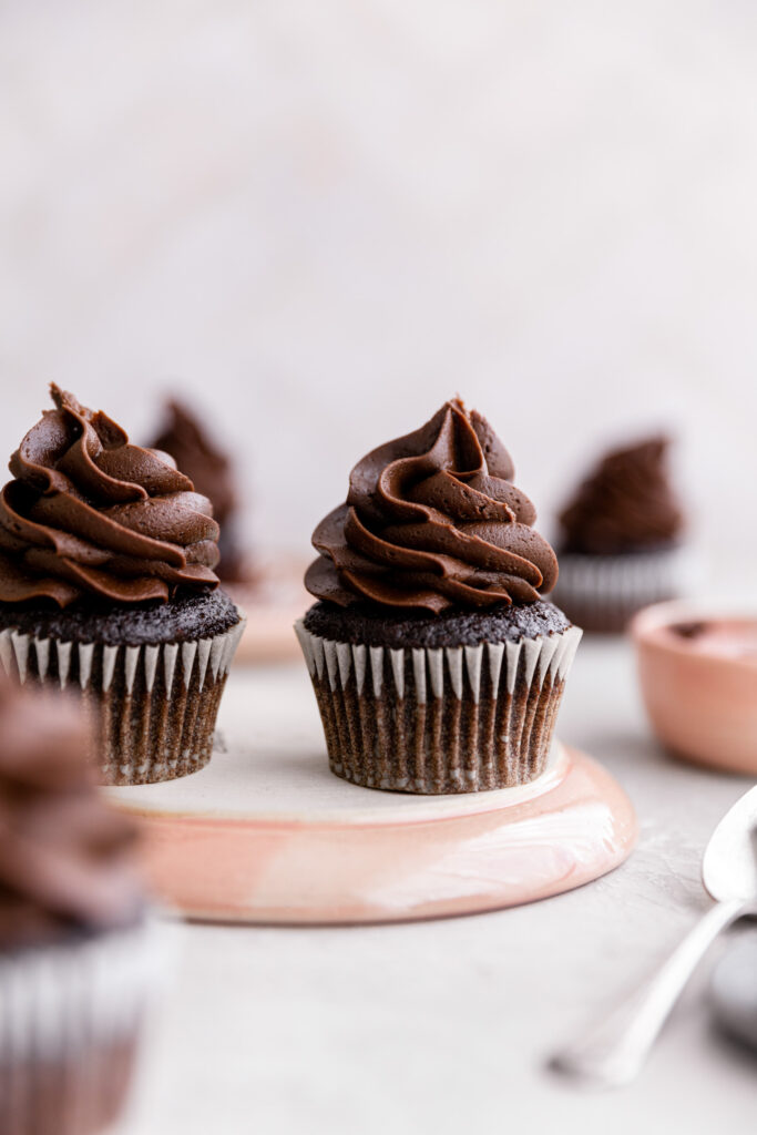 Moist and Rich Chocolate Fudge Cupcakes Frosting and Fettuccine