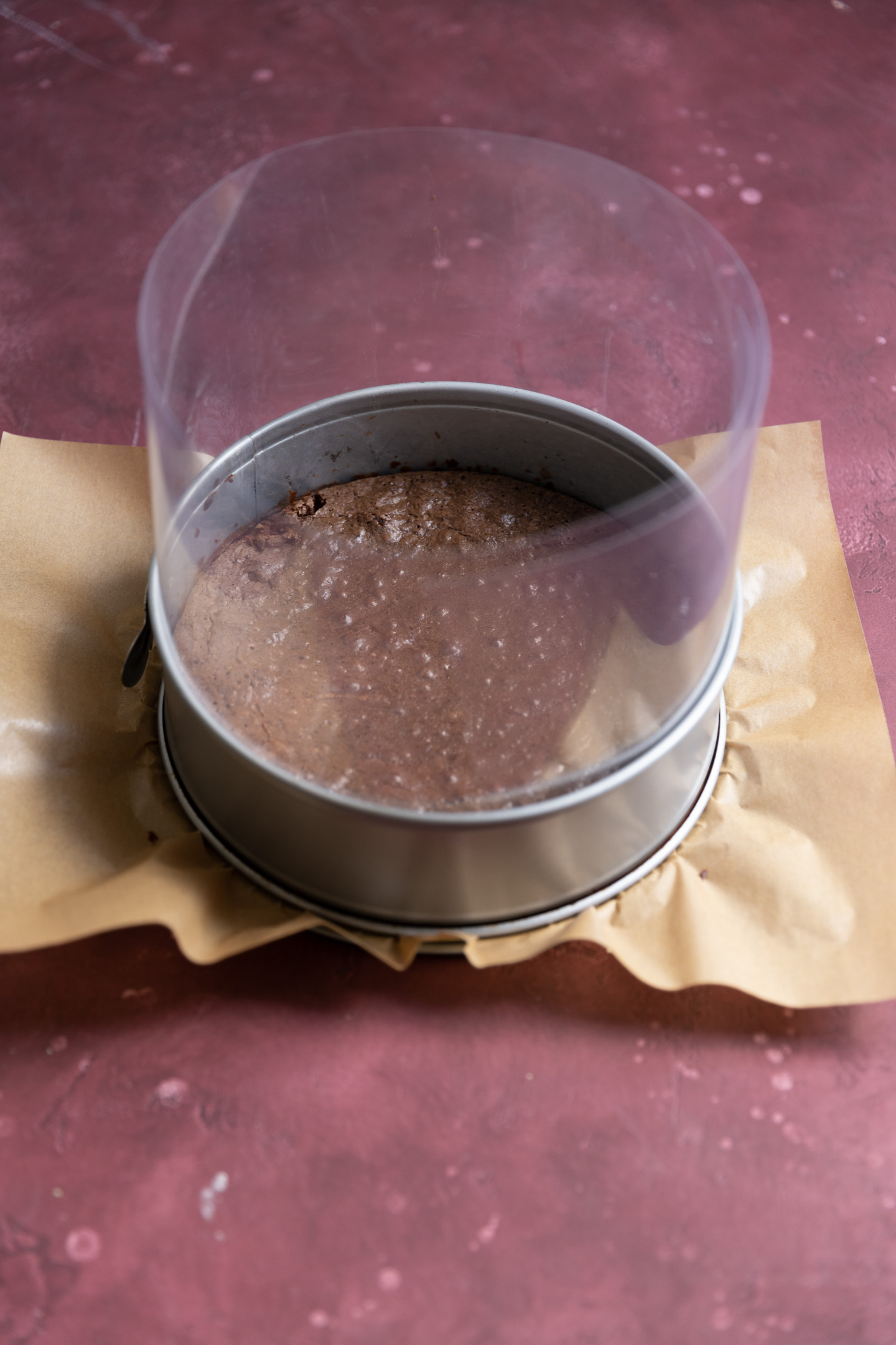 An acetate liner around a chocolate cake in a springform pan.