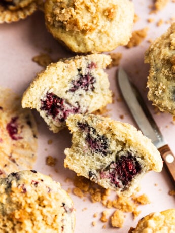 A blackberry muffin cut in half.