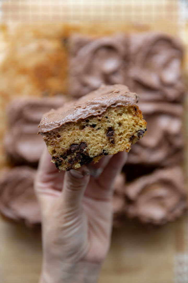 A piece of chocolate chip cake held up to see the inside.